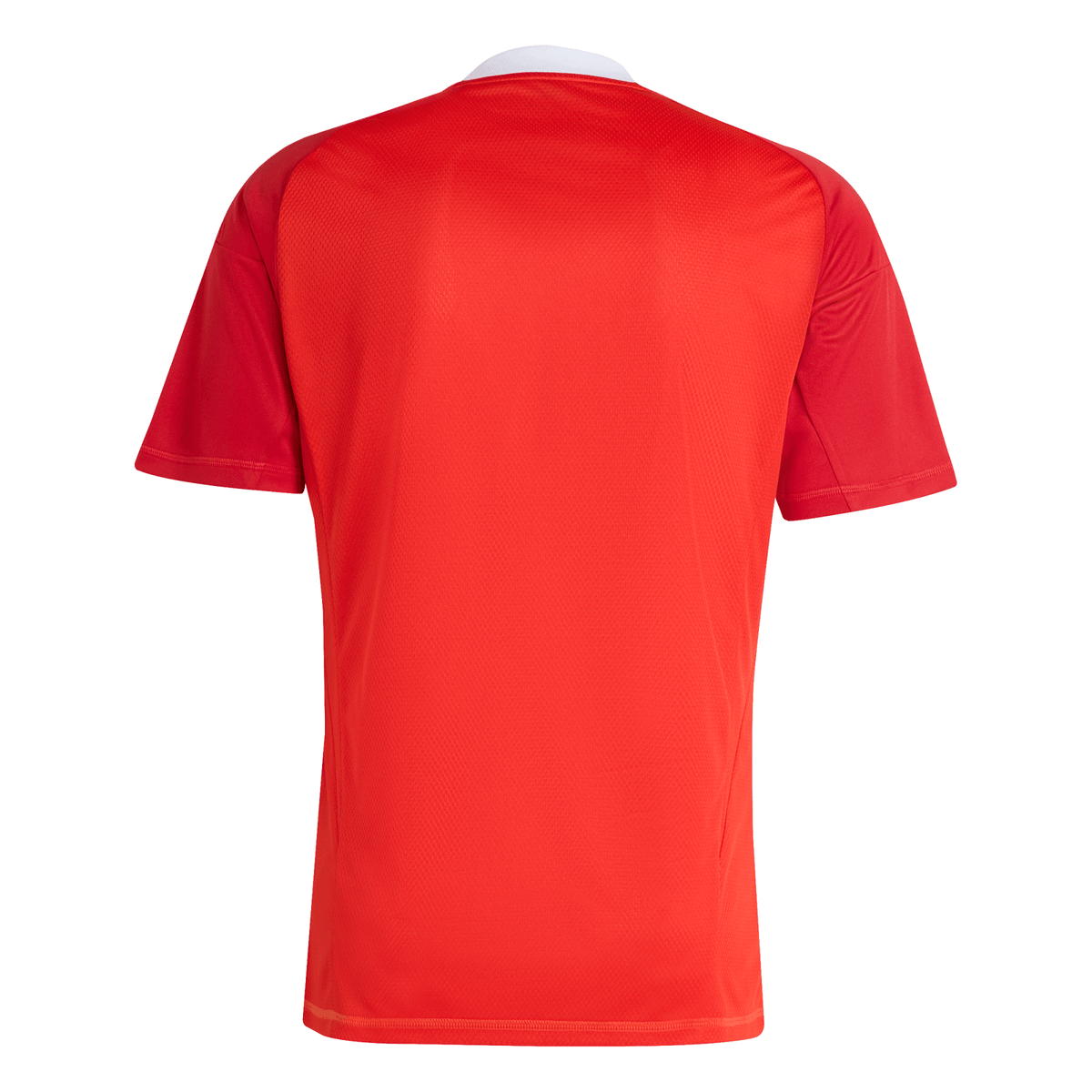 Camisa Flamengo Goleiro 3 Adidas 2025