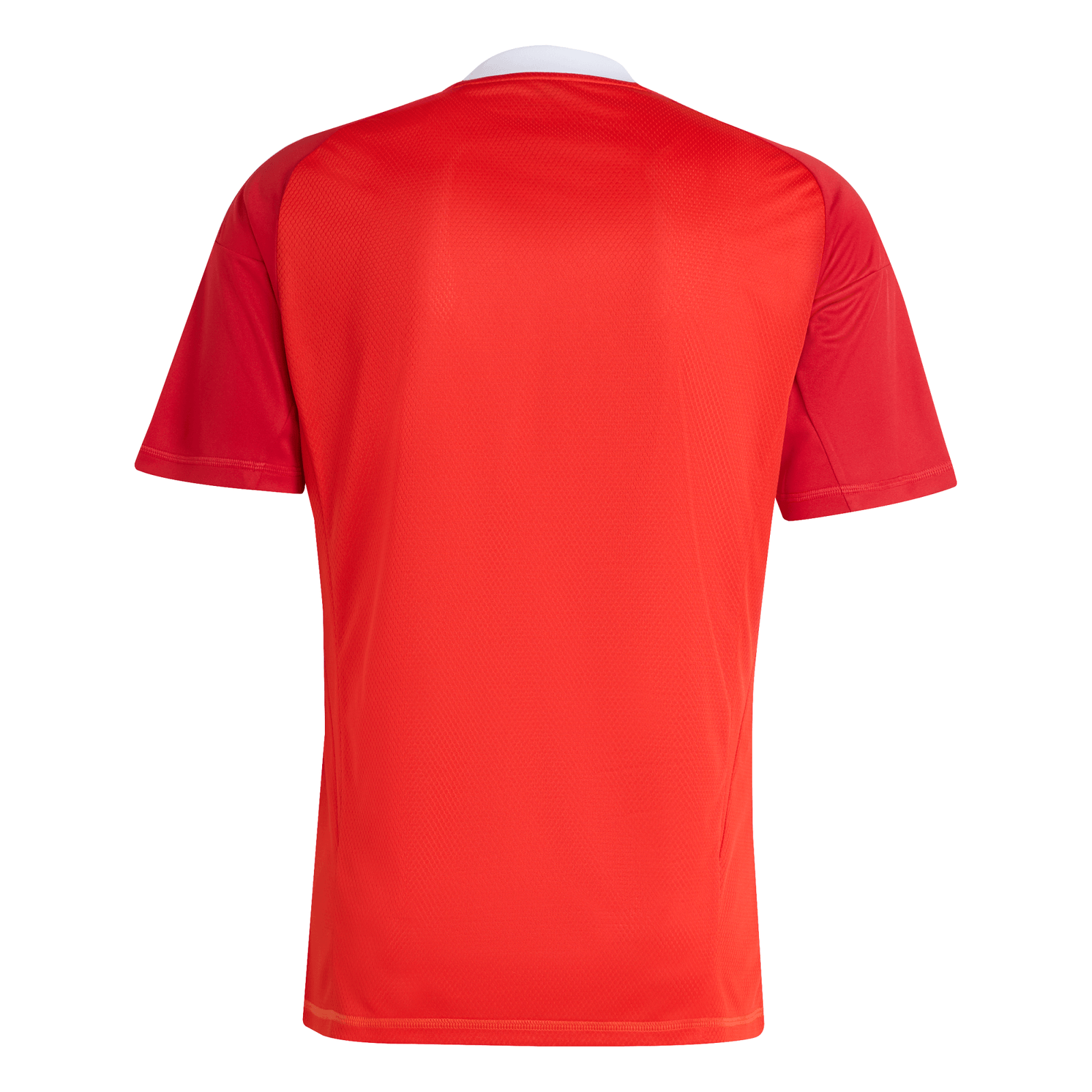 Camisa Flamengo Goleiro 3 Adidas 2025