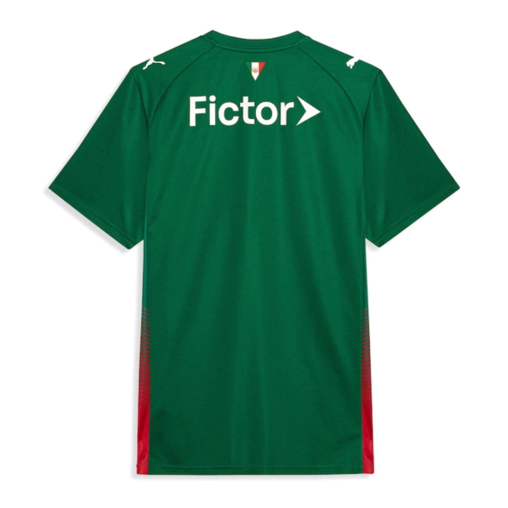 [PRÉ-VENDA] Camisa Palmeiras Home 26/27 - Torcedor Puma Masculina - Verde