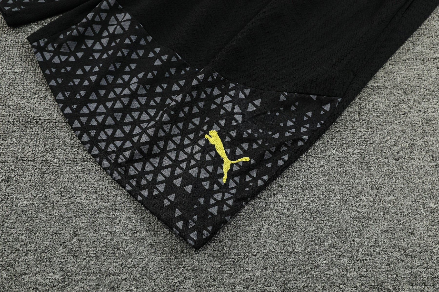 Kit Treino Regata Borussia 23/24